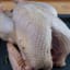 1 Dead, 164 Sick Due to Salmonella Outbreak Linked to Raw Turkey Ahead of Thanksgiving Holiday