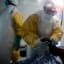 Congo's Ebola outbreak to last at least 6 more months