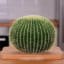 Pin de Das Reachal en #DIY VIDEO'S# [Video] | Jardinería en macetas, Jardineria y plantas, Cultivo de plantas