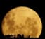 Full Moon Silhouettes: A full moon rises in real time - The Kid Should See This