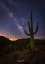 Lone Saguaro Tucson Az