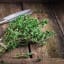 10 Best Herbs Grow in indoor pots in your kitchen garden