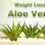 Want to lose weight, Naturally? Use Aloe vera