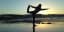 Dancer Pose (Natrajasana) - Chandra Yoga International
