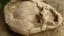 Archaeologists Uncover Infant Remains Wearing Skulls of Older Children