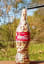 Matchsticks in a coke bottle