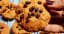 Choco Chip Oatmeal Cookies