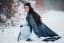 [Self] Arwen Undomiel Chase Dress from Lord of the Rings: Fellowship of the Ring in the Snow by Cosplayer Mircalla Tepez and Photodesign Josef Kristof