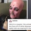 14 Haunted Posts That are 2Spooky4Me