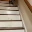 This dog gently supports its blind friend down the staircase, step by step. Amazing!