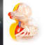 Anatomical Balloon Dog and Rubber Ducky Models by Jason Freeny