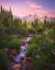 Mount Rainier National Park, Washington, United States