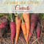 Ultimate Guide to Growing and Using Carrots