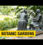 Exploring Singapore's Botanic Gardens