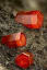 Vanadinite | Stones and crystals, Minerals and gemstones, Crystals minerals