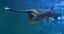 Giant Chinese Paddlefish First Species Of 2020 Declared Extinct