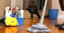 End Of Lease Cleaning Melbourne | Vacate Cleaning Melbourne From $99