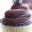 Double Chocolate Cream Cheese Frosting
