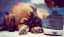 5 Easy Ways to Get a Puppy Tired Out
