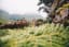 The best Drakensberg hikes in the Royal Natal National Park