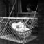 Baby Cages: The Chicken Coop-Like Toddler Bins of the 1930s