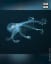 “This rarely-seen glass octopus was caught on camera. The clear sea creature was filmed by an underwater robot during an expedition off of the Phoenix Islands, more than 3,200 miles northeast of Sydney, Australia.”