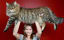 16 Giant Maine Coon Cats That Will Make You Feel Really Small