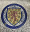 Scottish Football Association Mosaic