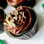 Mint Chocolate Cupcakes with Chocolate Ganache Frosting
