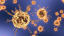 HOW TO DISTINGUISH THE CORONAVIRUS INFECTION FROM OTHER RESPIRATORY INFECTIONS
