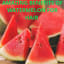 The Benefits of Watermelon For Hair