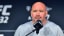 Dana White Reveals His Favourite UFC Fight Of All Time