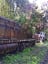 Abandoned train cars in the woods Upstate NY