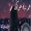 Hum Tabah Ho Gaey by Salwa Adnan Shah Pdf - Free Urdu Novels Online