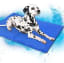 Keep Them Cool With Dog Cooling Ice Gel Mattress For Summer