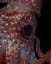strawberry squid found in the ocean's twilight zone