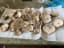 Looking for recipes that use shiitake mushrooms - here's our first harvest! I prefer them as part of larger recipe, not by themselves.