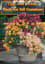 Plants-For-Fall-Containers-Tips-and-Ideas.jpg