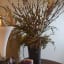 How To Easily Create A Lighted Branch Arrangement