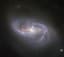 Hubble Glimpses a Galaxy Among Many