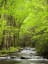 'USA, North Carolina, Great Smoky Mountains National Park, Straight Fork Flows Through Forest' Photographic Print - Ann Collins | Art.com