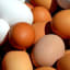 white eggs or brown eggs which is healthier ? | Health And Fitness Rapidly