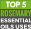 Rosemary Essential Oil Uses and Benefits