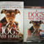 A Dog's Way Home DVD and Book Giveaway