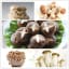 100pcs/bag Mushroom Seeds Funny Succlent Plant Edible Health Veget...