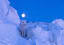 Arctic fox under full moon
