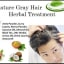 Premature Gray Hair Herbal Treatment - Herbs Solutions By Nature