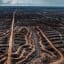 2 execs quit palm oil giant Wilmar after Greenpeace deforestation report