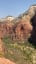 A freakin condor in Zion National Park. Dope.