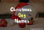 Unique Christmas Dog Names: 235+ Girl and Boy Xmas Themed Names